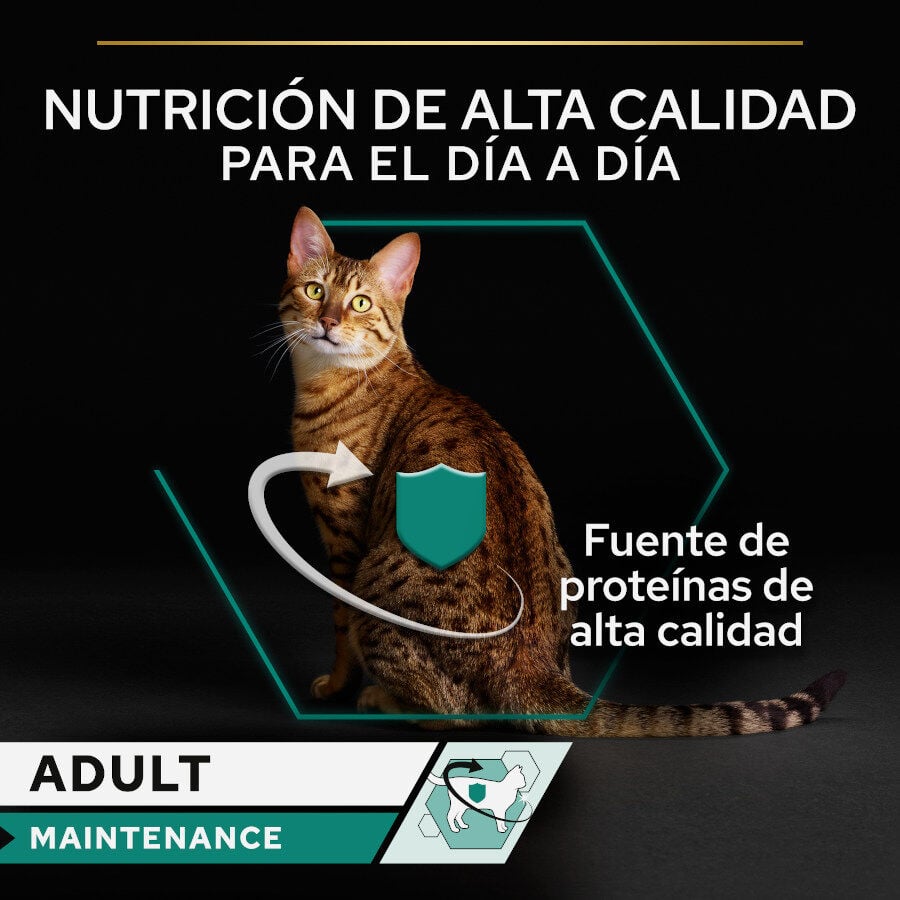 85 g Pro Plan Adult Maintenance Terrina rico en pollo para gatos, , large indicador imagen numero 2